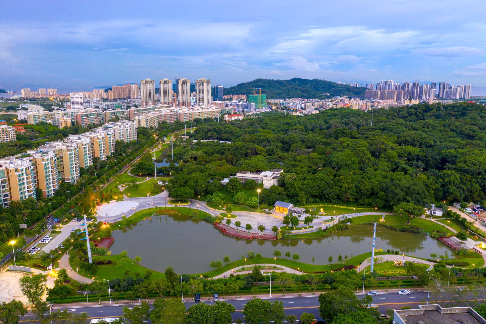 唐家共樂大花園工程